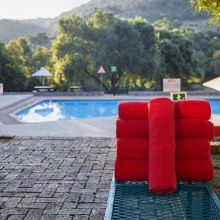 26° South Bush Boho Hotel Muldersdrift Exterior foto